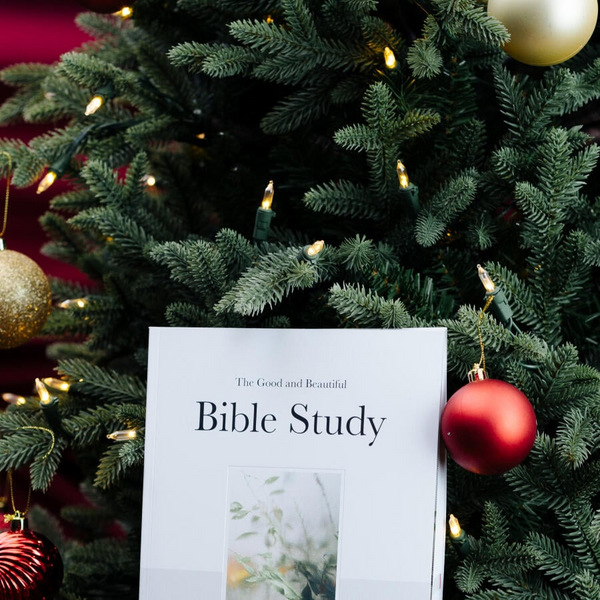 Beautiful Bible Journey